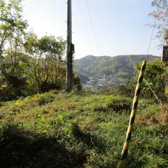 大江城跡