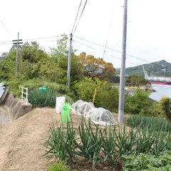 厳島城跡