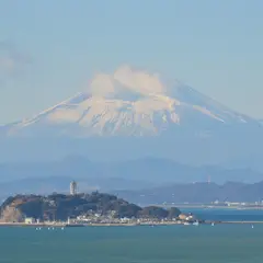 大崎公園