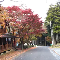 牧の原キャンプ場