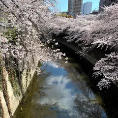 神田川