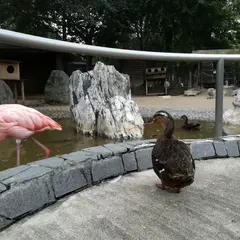 久留米市鳥類センター