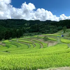 大山千枚田 千葉県