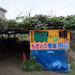 三平（みつひら）果樹園