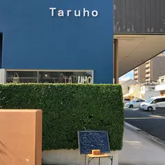 タルホ（Taruho）