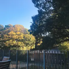 杜のテラス