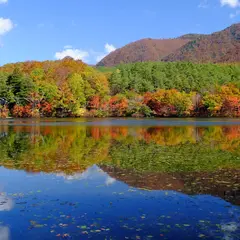 観音沼森林公園