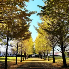 御殿辺公園