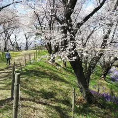 総社二子山古墳