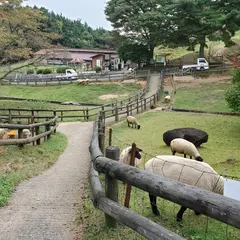 めえめえ牧場