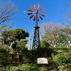 フランス山の風車