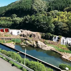 花の木公園 釣り堀センター