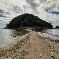 希望の道