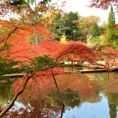 曽木公園