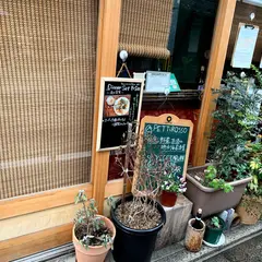 Pettirosso Kyoto