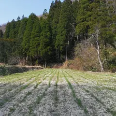 農家パン 弥栄窯 （基本的に卸売り販売なので工房に来られる方は前日午前中までに予約をおねがいします）