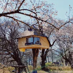 清春白樺美術館