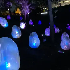 チームラボ どんぐりの森の呼応する生命
