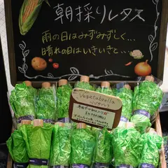 東京ノーブル(Tokyo noble) 日比谷OKUROJI店