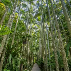 東南植物楽園