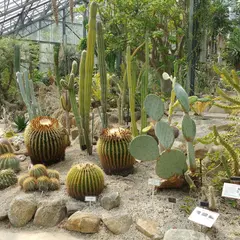 国立科学博物館筑波実験植物園
