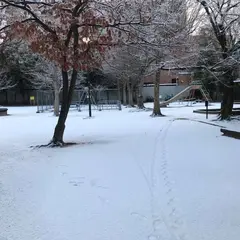 小川児童公園