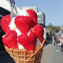 芳川屋本町通り店