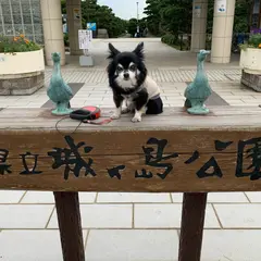城ヶ島公園