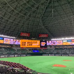 ペイペイドーム