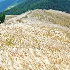 岩湧山