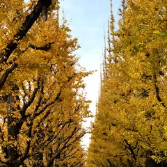 明治神宮外苑之記