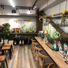 ハリネズミ専門カフェ HARRY WOOD(ハリーウッド)なんば店