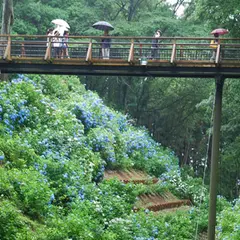 黒羽城址公園