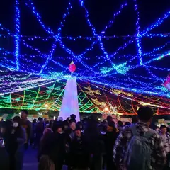 周南冬のツリーまつり 青空公園 会場