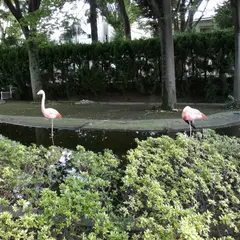 東板橋公園