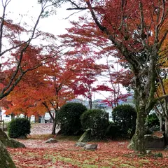 紅葉谷公園