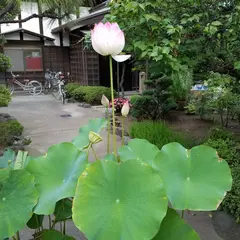片瀬