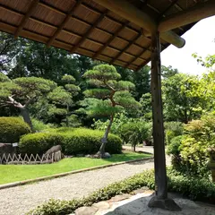 万葉植物園