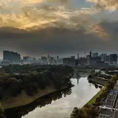 レストラン パティオ