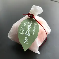 村上開新堂