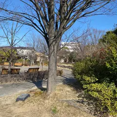 開拓公園