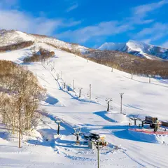 ニセコモイワスキー場