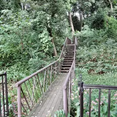 上野毛自然公園