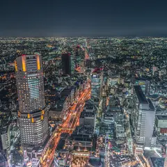 Trueberry 渋谷スクランブルスクエア