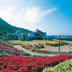 越前水仙の里公園