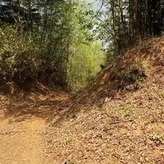 明徳寺城跡