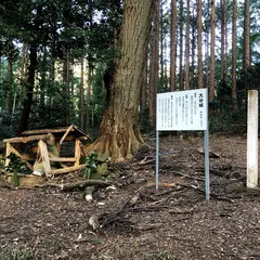 大谷城址