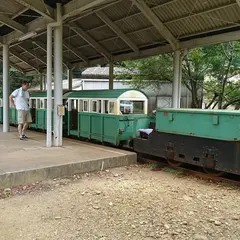 レールマウンテンバイク