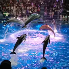 高輪