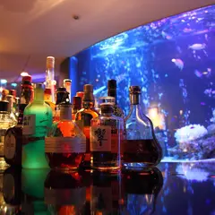 BAR WISTERIA
